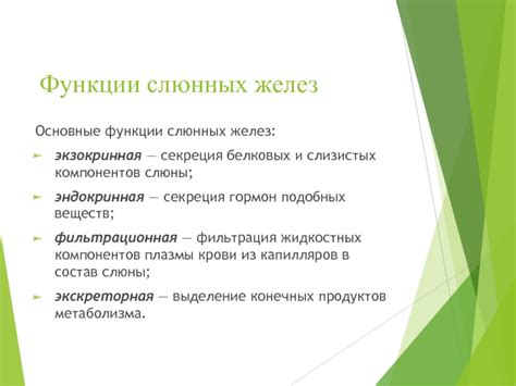 Повышенная секреция слюнных желез