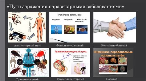 Повышенный риск заражения паразитарными инфекциями