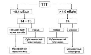 Повышен т4 при нормальном ттг