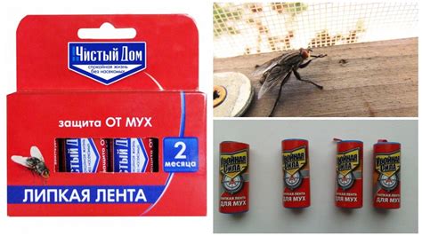 Поговорим о применении мух