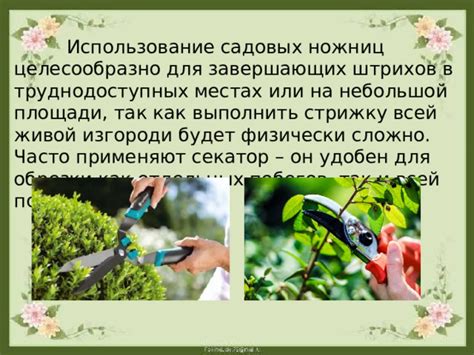 Подбор аксессуаров для завершающих штрихов