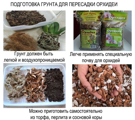 Подготовка горшка и почвы перед установкой дренажа