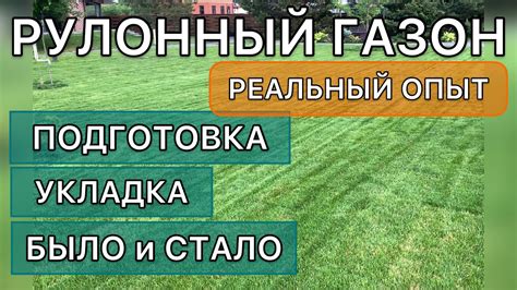 Подготовка грунта и укладка основы