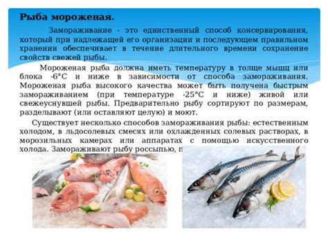 Подготовка и выбор рыбы перед замораживанием
