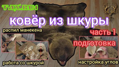 Подготовка и покраска шкуры