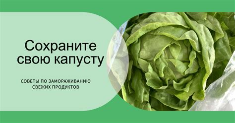 Подготовка капусты перед замораживанием