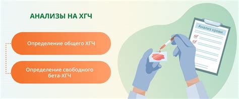 Подготовка к ХГЧ