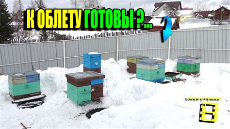 Подготовка к весеннему пересаду