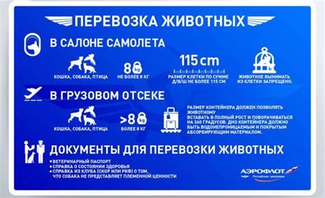 Подготовка к дороге и правила перелета с животным