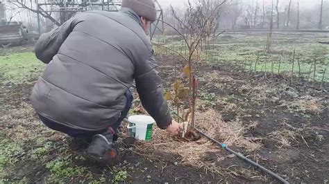 Подготовка к открытию фундука