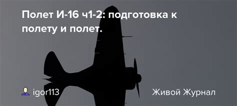 Подготовка к полету или настороженность
