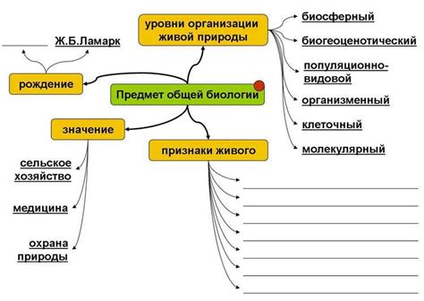 Подготовка к применению: основные шаги