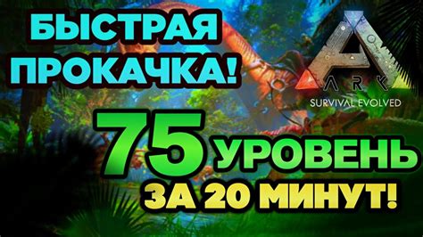 Подготовка к процессу изготовления бензина в Арк Мобайл