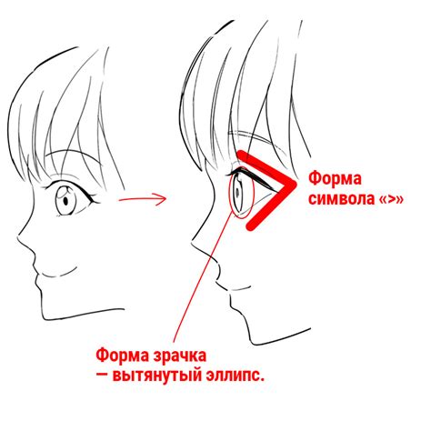 Подготовка к рисованию: настройка пропорций