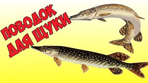 Подготовка к установке кружек на щуку