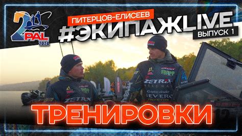 Подготовка к финальному разрешению