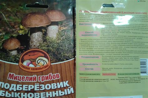 Подготовка места для грибницы на даче