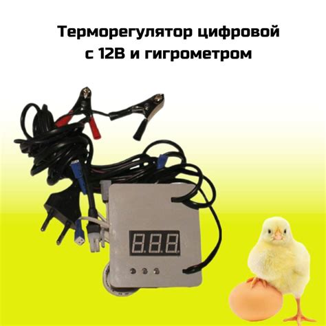 Подготовка определенного места для инкубатора