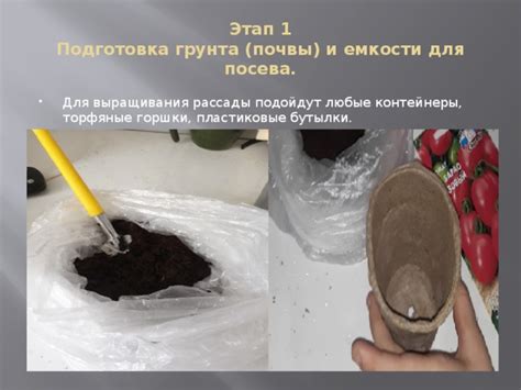 Подготовка почвы и емкости для проращивания: