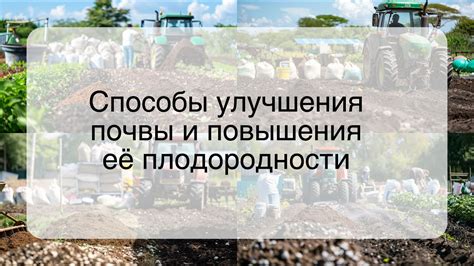 Подготовка почвы и обеспечение плодородности