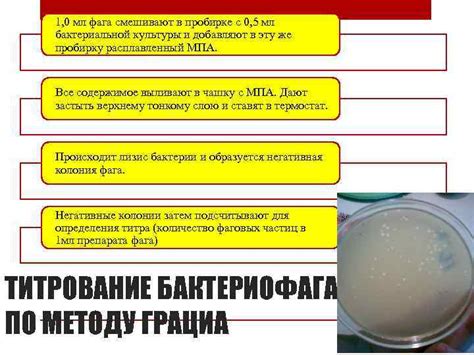 Подготовка препарата и осаждение бактериальной культуры
