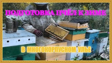 Подготовка пчел к зимовке