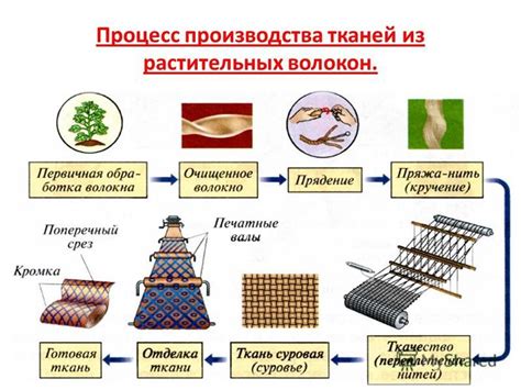 Подготовка растительных волокон для процесса бумагопроизводства