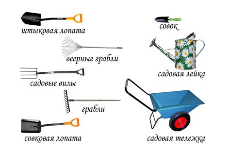 Подготовка участка и выбор инструментов