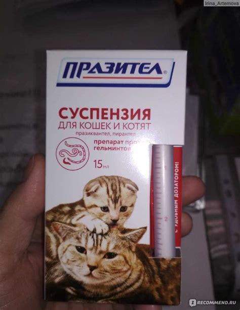 Подготовка щенка к глистогонке