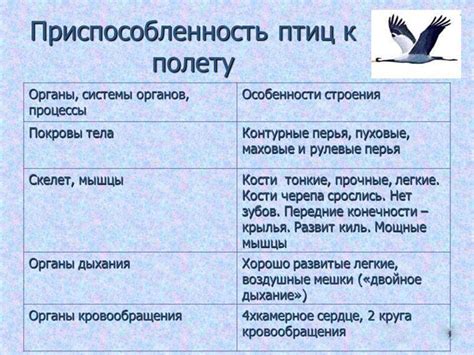 Подготовьтесь к полету