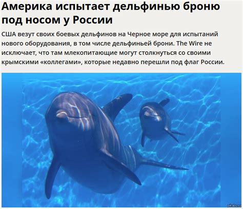Подготовьте дельфинью плавник