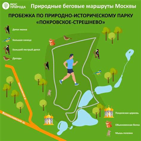 Поддержание и уход за пучком после гимнастики