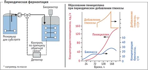 Поддержание формы в процессе выпечки