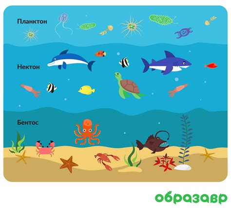 Поддерживайте баланс водной среды в пруду