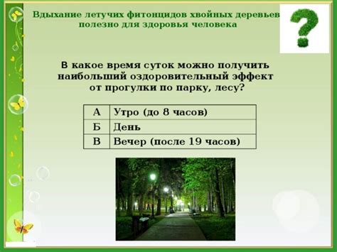 Поддержка здоровья деревьев после беления