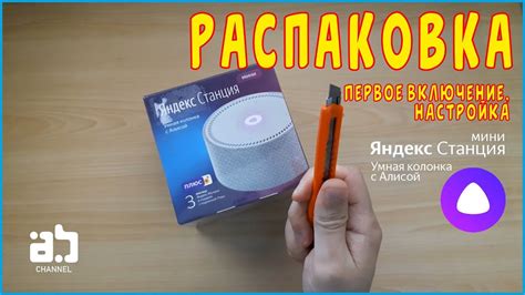 Подключение и настройка умной колонки