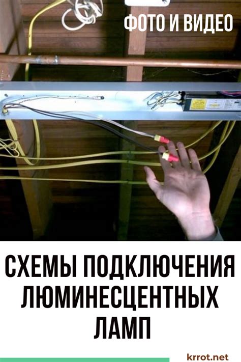 Подключение лампы для растения: инструкция и советы