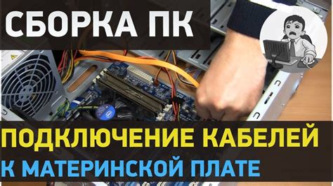 Подключение цифры: пошаговое руководство