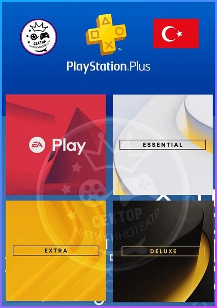 Подключение PS Plus Essential к онлайн-играм: все, что нужно знать
