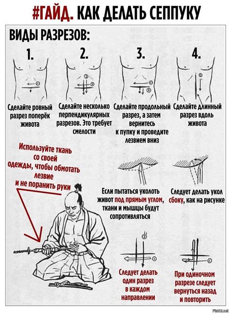 Поднесение меча к горлу: ритуал сеппуку в рыцарском коллапсе