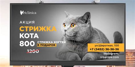 Подозрительные рекламные баннеры