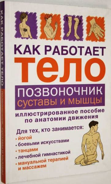 Подробная инструкция для идеального реверанса