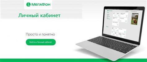 Подробная инструкция и особенности