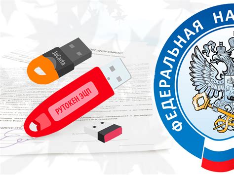 Подробное руководство для налоговой инспекции
