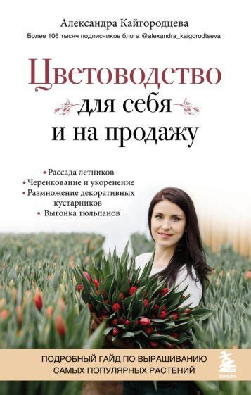 Подробный гайд по выращиванию дихондры в квартире