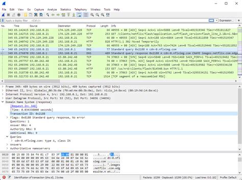 Подробный гайд по изучению ARP запросов в Wireshark