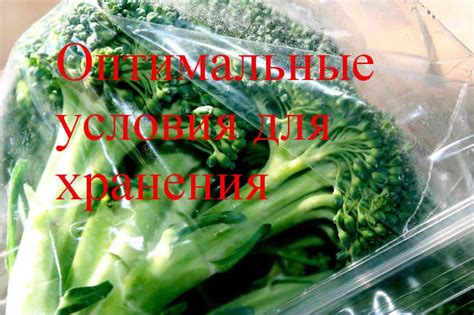 Подсказки и советы по заморозке редьки