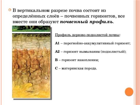 Подходящая почва и условия содержания