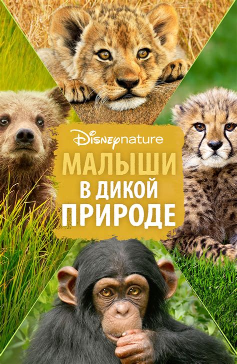 Познавательные программы о природе и животных