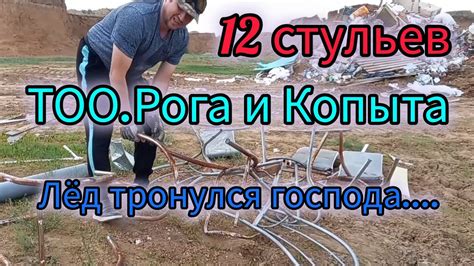 Поиски Галтрана: результаты